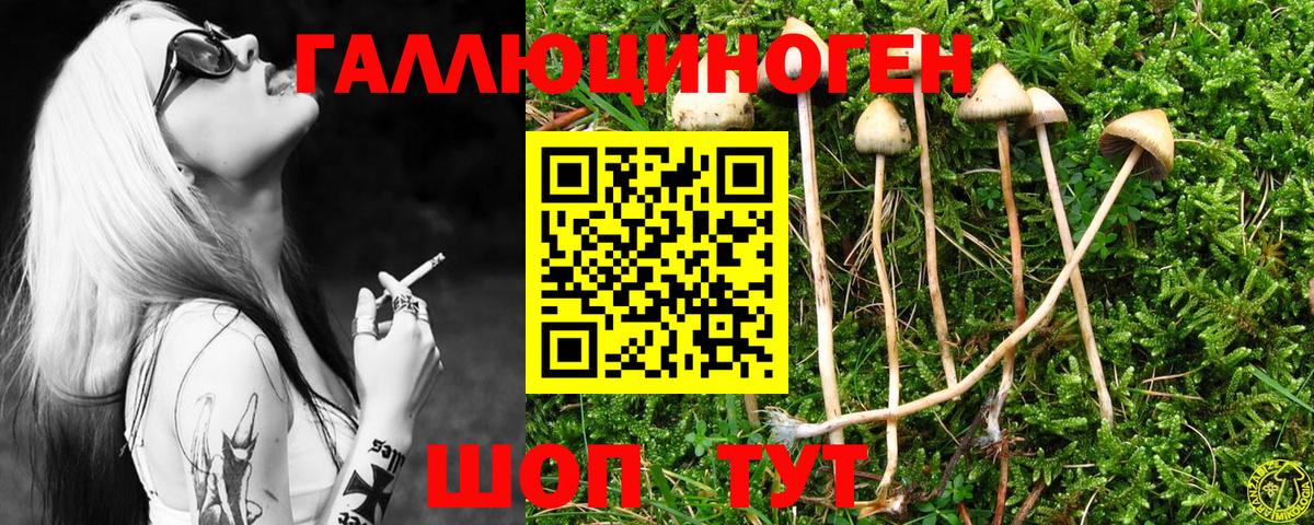 Псилоцибиновые грибы MAGIC MUSHROOMS Ярцево